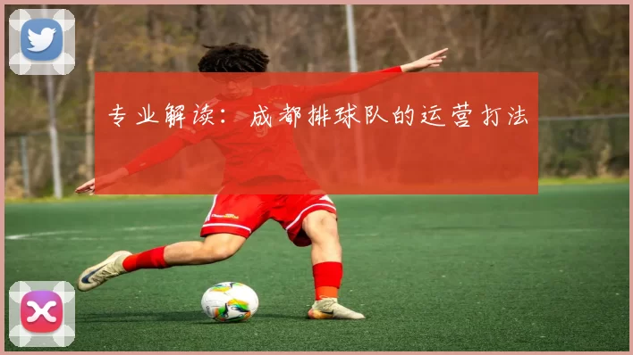 专业解读：成都排球队的运营打法