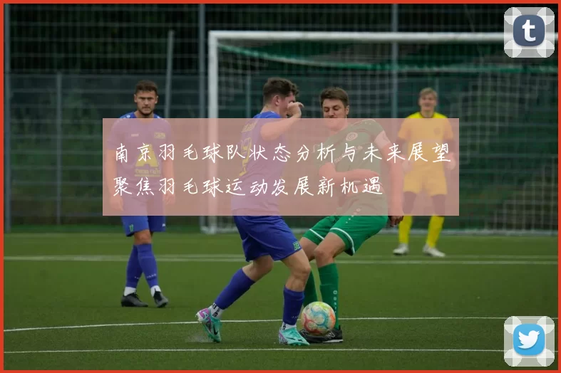 南京羽毛球队状态分析与未来展望聚焦羽毛球运动发展新机遇