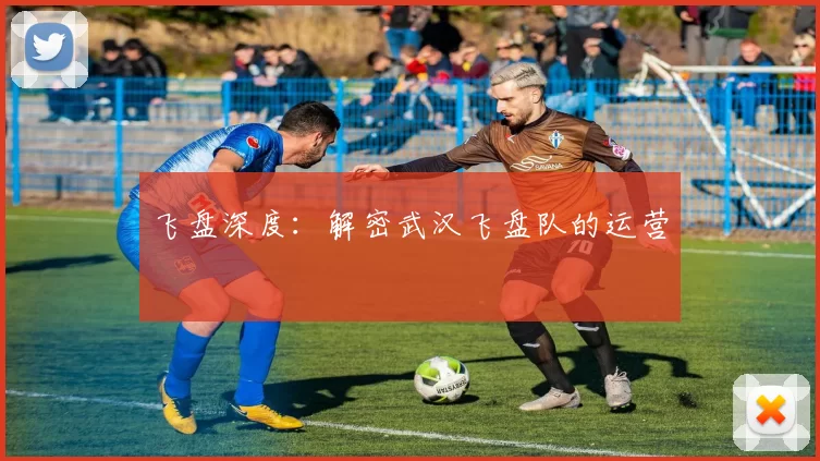 飞盘深度：解密武汉飞盘队的运营