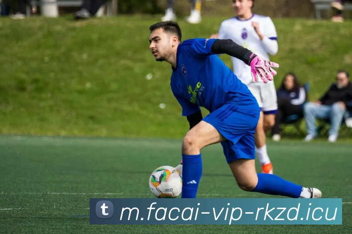 华体会体育平台生态图