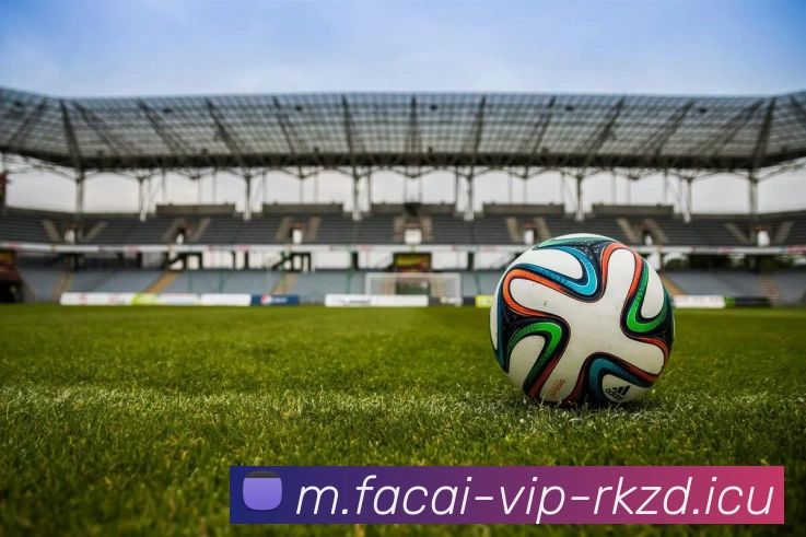 华体会体育全站App